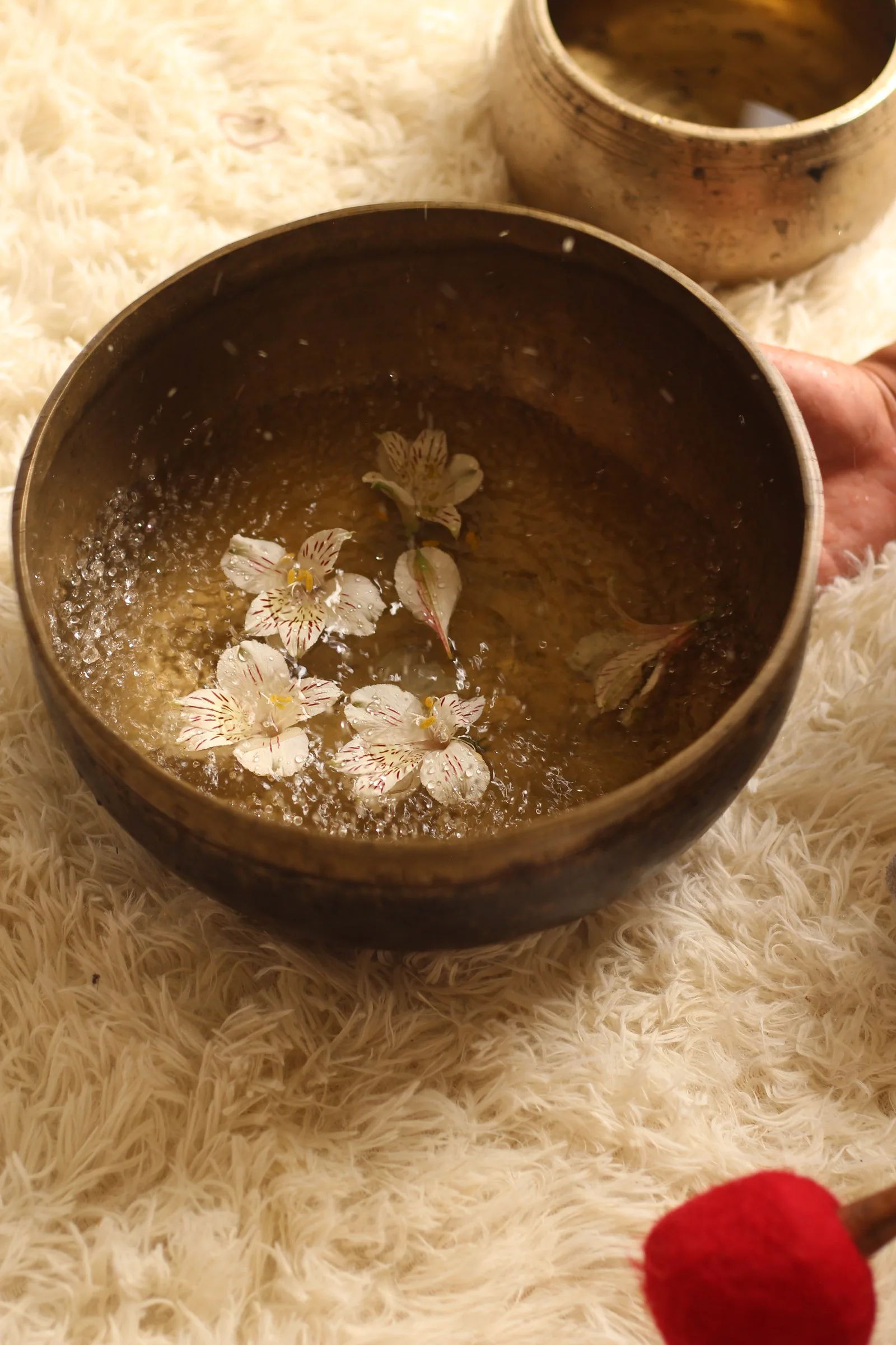 Flores y agua en un cuenco del Himalaya