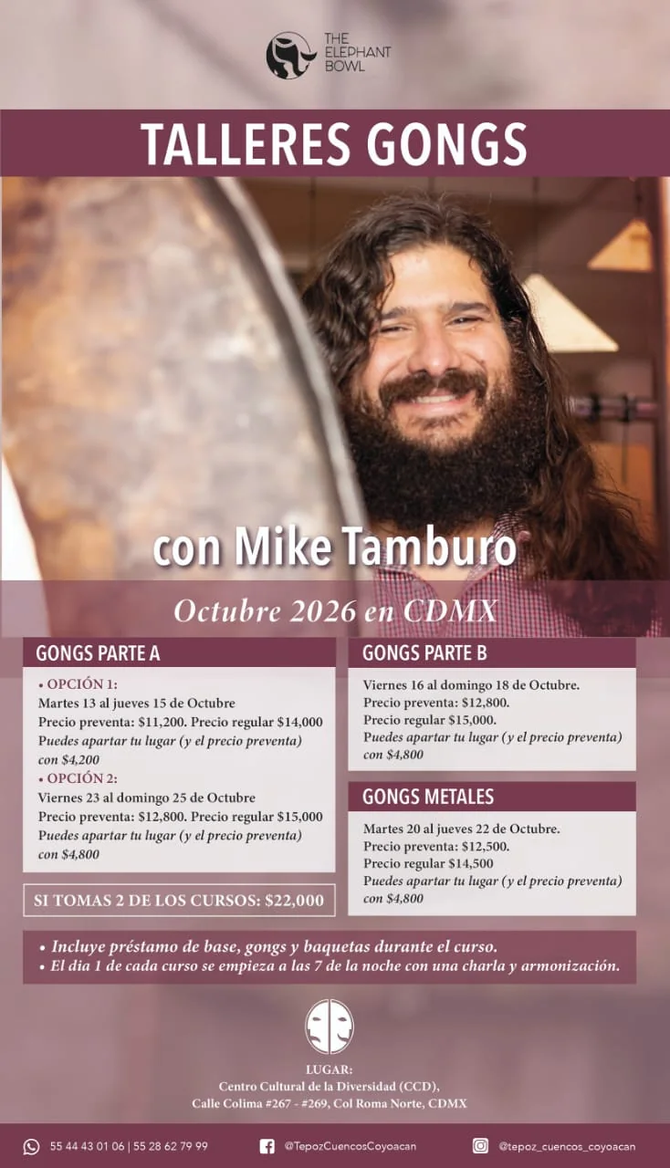 Cartel oficial de Taller de Gongs Parte A con Mike Tamburo (13 al 15 de octubre)